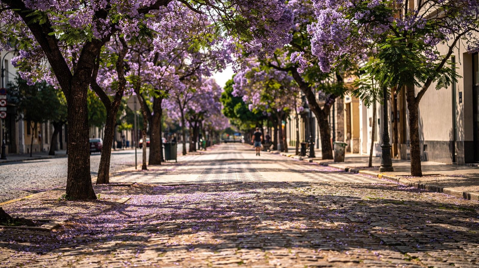 Best Time to Visit Buenos Aires