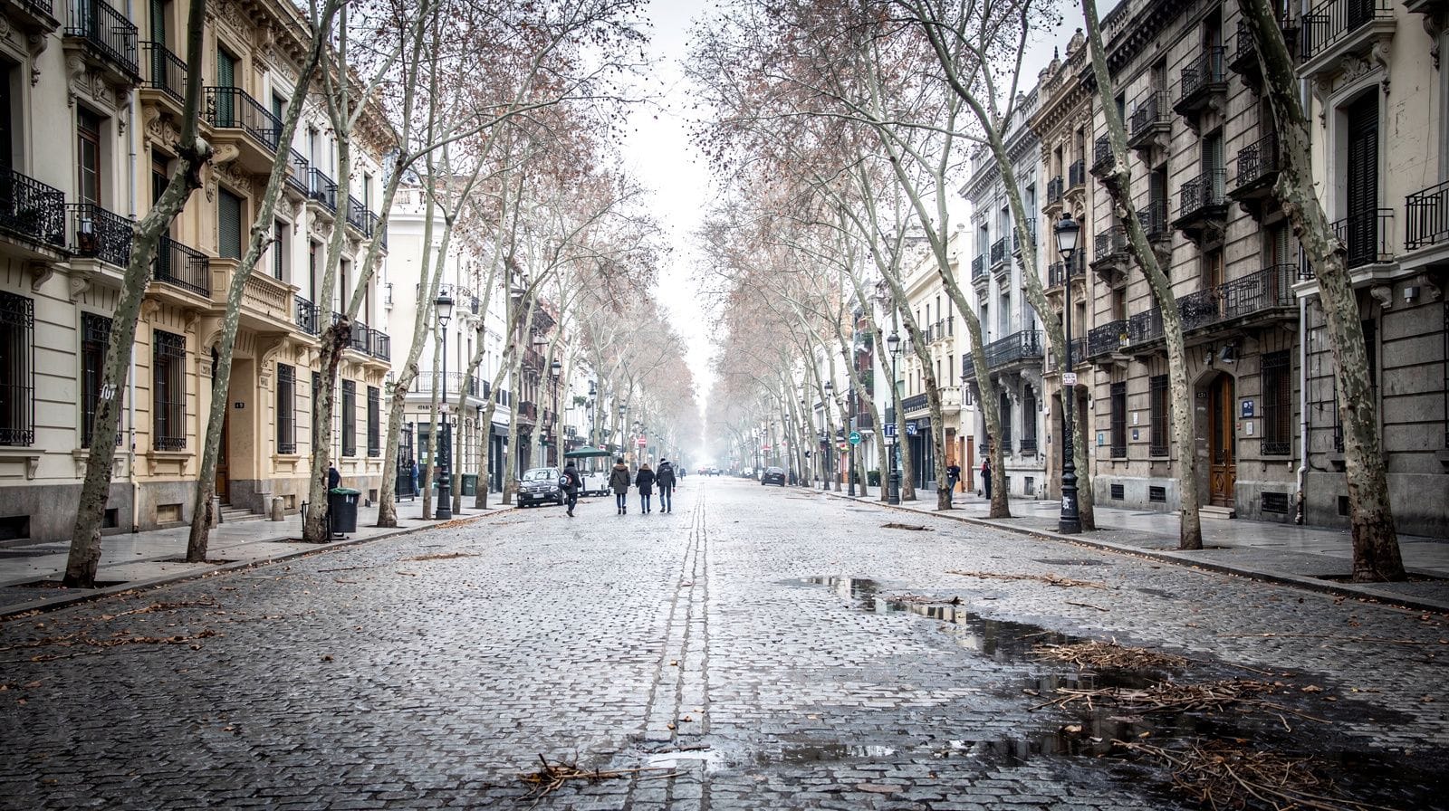 Buenos Aires in August: A Quiet, Softening Winter