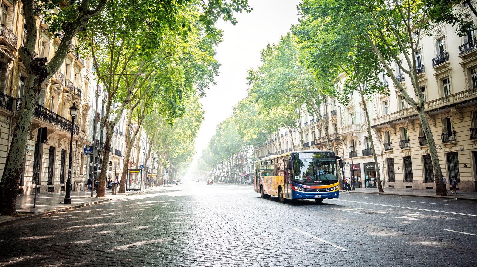 Buenos Aires in December: A Personal Guide