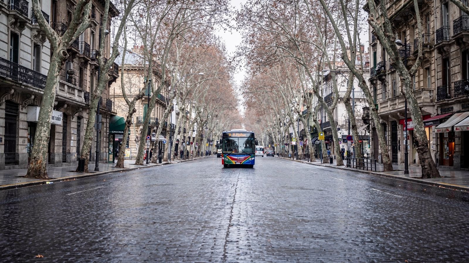 Buenos Aires in June: My Honest Guide to the Start of Winter