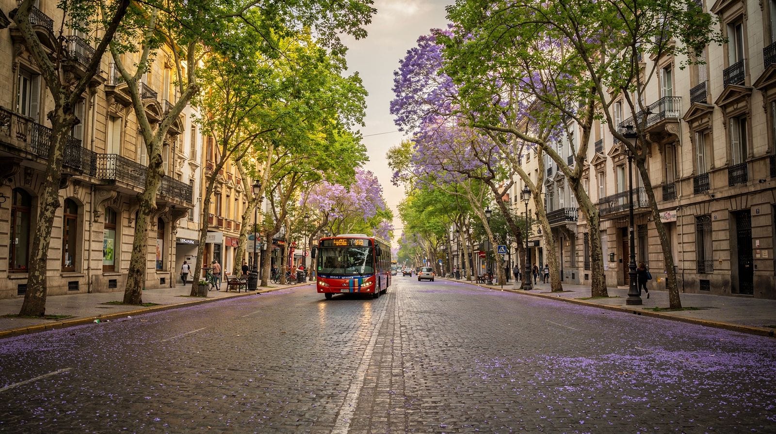 Buenos Aires in November: My Honest Month-by-Month Read
