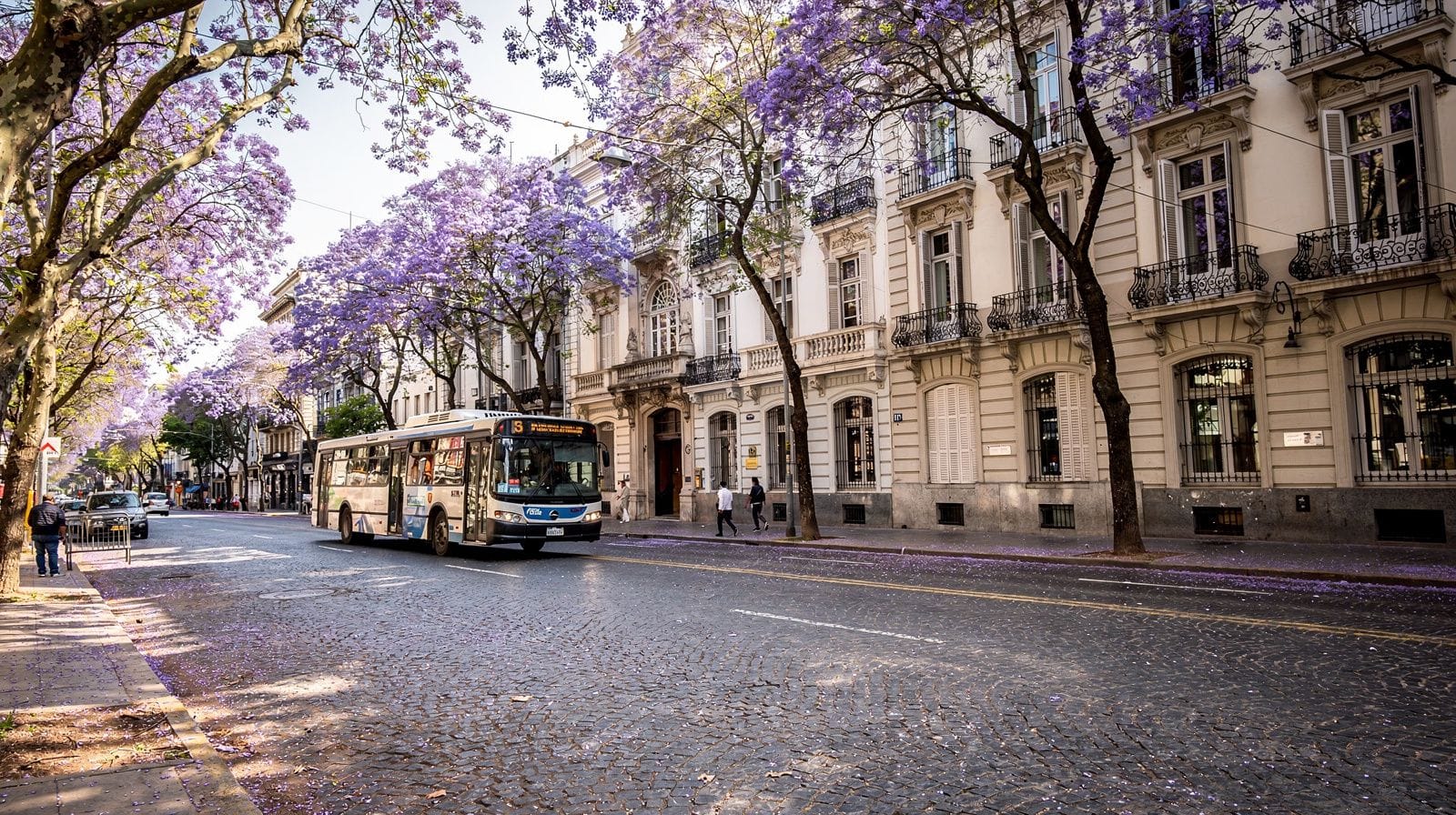Buenos Aires in October: My Honest Month-by-Month Take