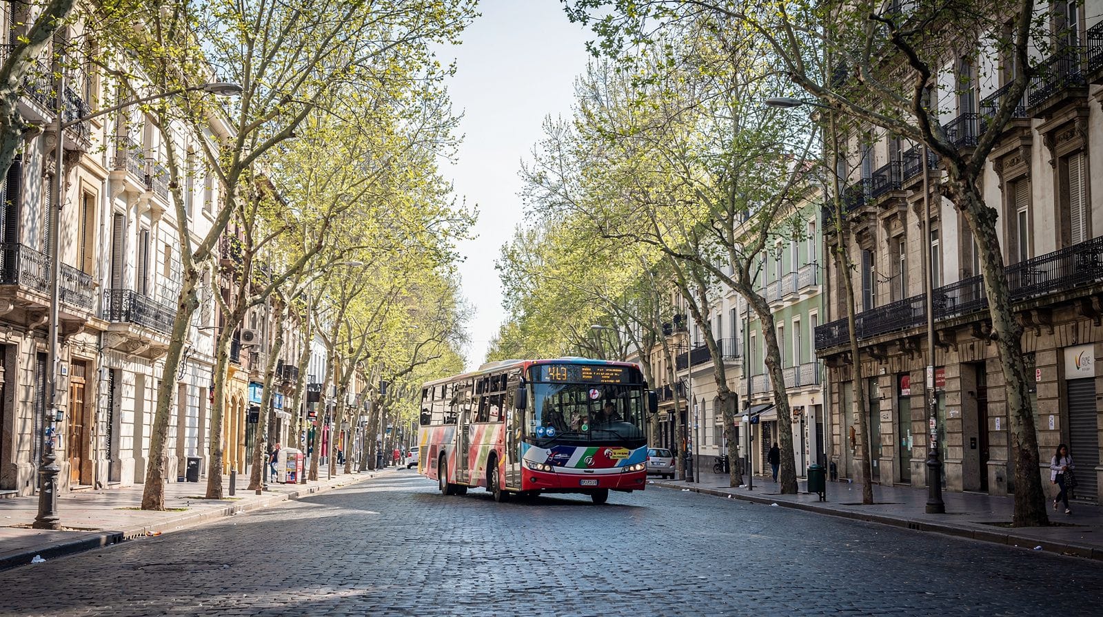 Buenos Aires in September: Early Spring, Before the Jacarandas