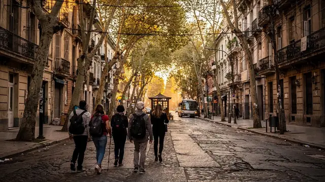 City tours