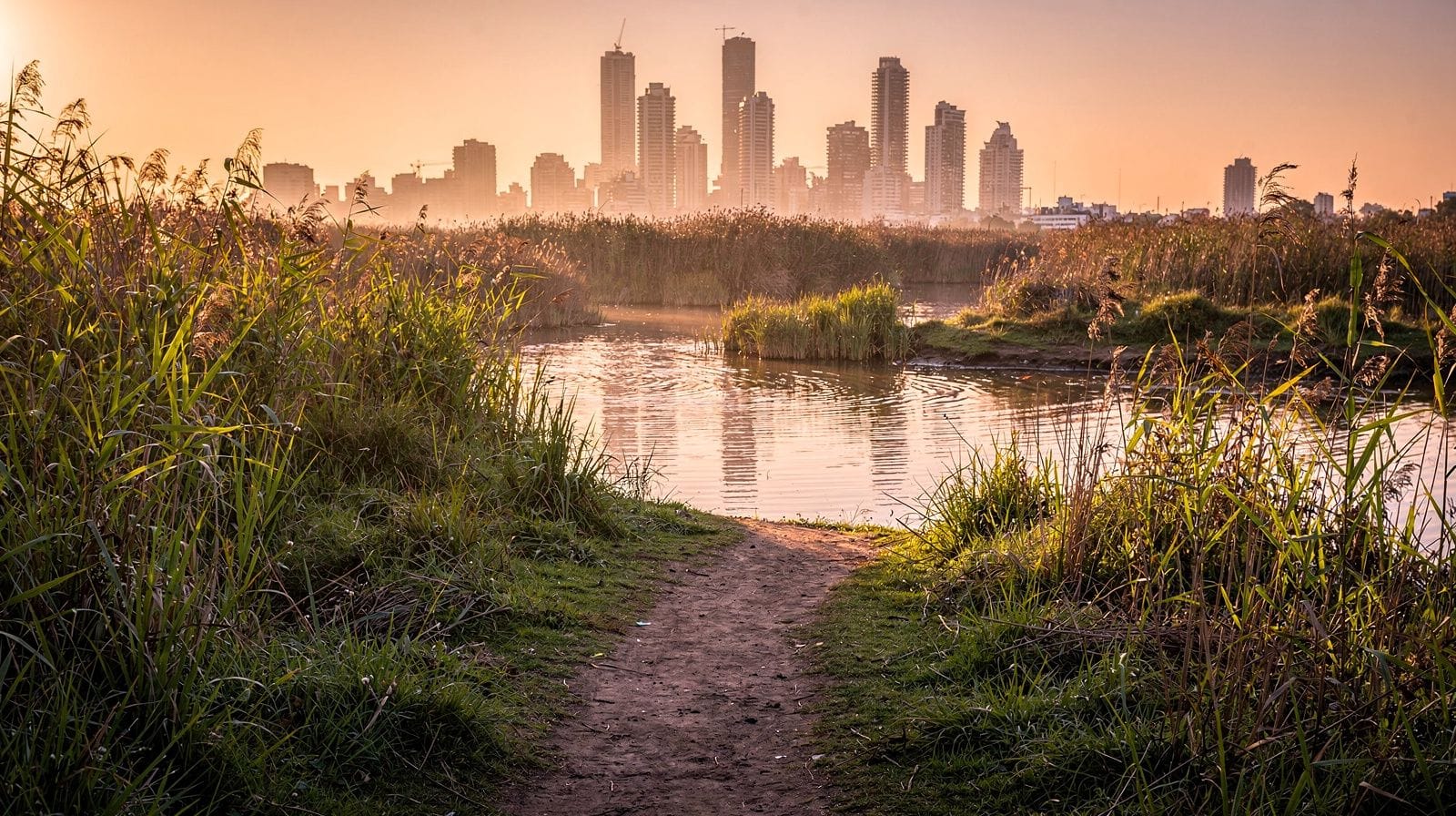 Costanera Sur Ecological Reserve: Buenos Aires's Riverside Wetland