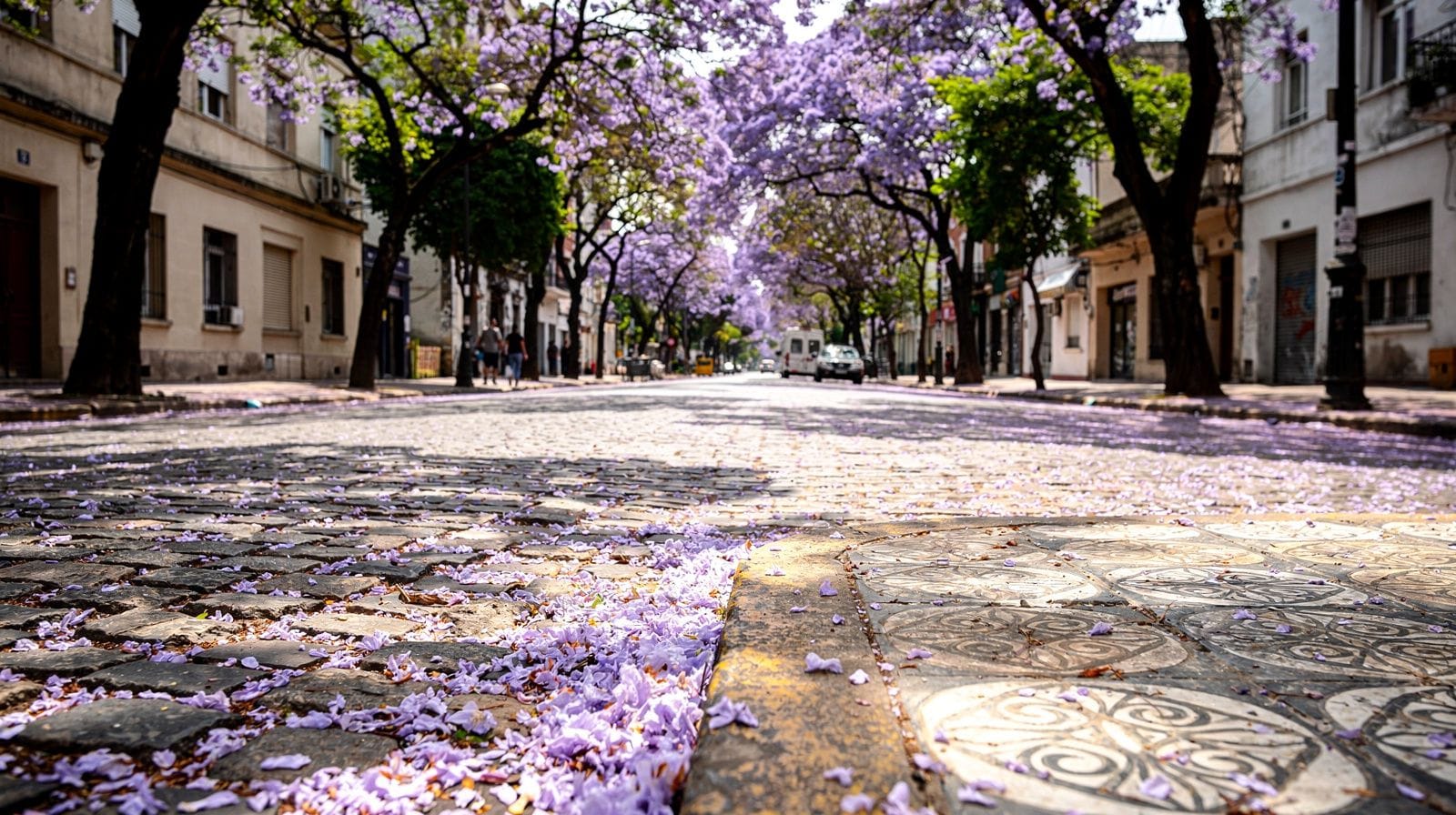 Best Time to Visit Buenos Aires: A Season-by-Season Guide