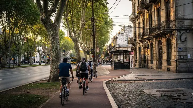 Costanera Sur by Bike: The Nature Reserve Next to Puerto Madero