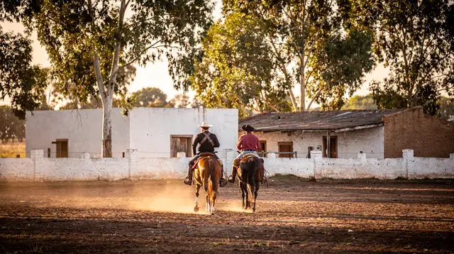 A Day at an Estancia Near San Antonio de Areco: What Actually Happens
