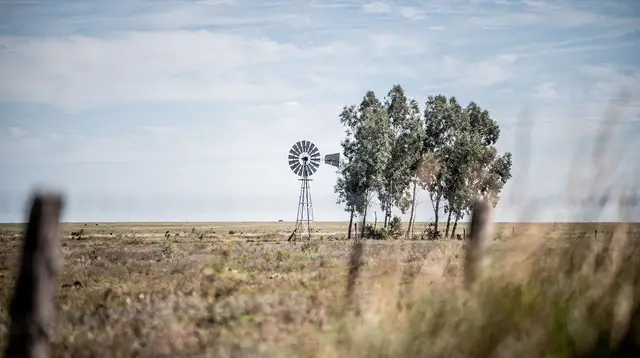 Estancia Day Trip from Buenos Aires: Transport, Timing and Return