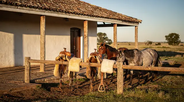 A Day at an Estancia Near San Antonio de Areco: What Actually Happens