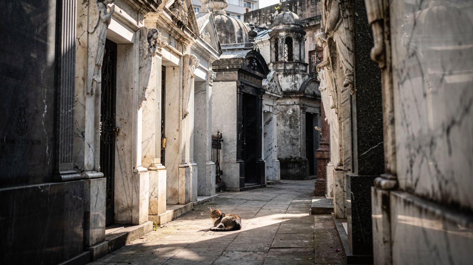 Ein Fotoshooting auf dem Friedhof Recoleta: Die Regeln hinter der Schönheit